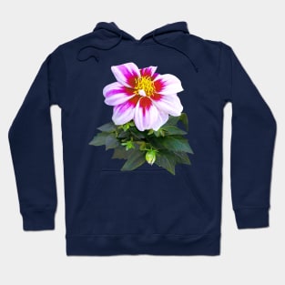 Two-Toned Pink Dahlia Hoodie